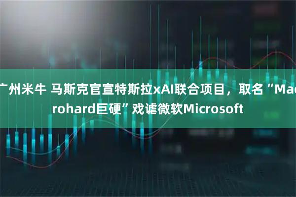 广州米牛 马斯克官宣特斯拉xAI联合项目，取名“Macrohard巨硬”戏谑微软Microsoft