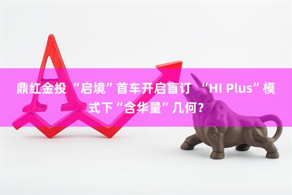 鼎红金投 “启境”首车开启盲订  “HI Plus”模式下“含华量”几何？