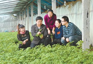 吉林通化县组织农技专家为村民提供咨询