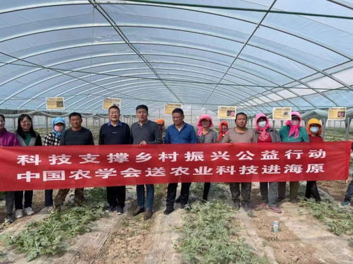 科技支撑乡村振兴公益行动 中国农学会送农业科技进海原 西甜瓜产业培训成功举办
